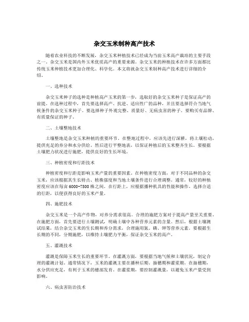 杂交玉米制种高产技术