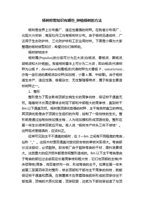 杨树修剪知识有哪些_种植杨树的方法