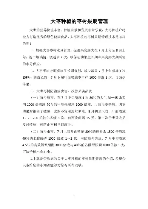 大枣种植的枣树果期管理