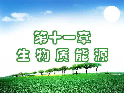 生物质能源概述可编辑全文