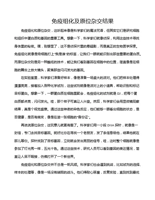免疫组化及原位杂交结果
