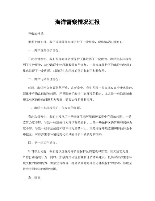 海洋督察情况汇报