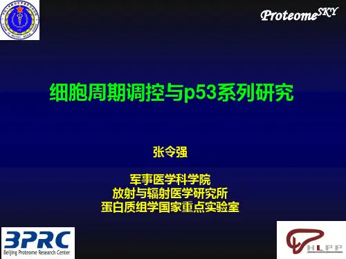 研究生课 细胞周期调控与p53系列研究 细胞生物学课