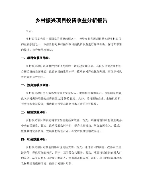 乡村振兴项目投资收益分析报告