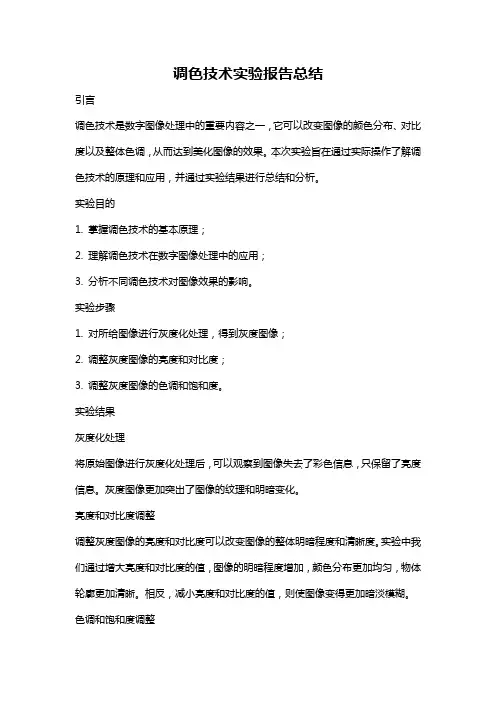 调色技术实验报告总结