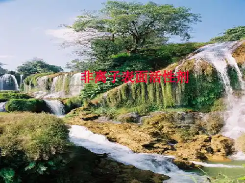 非离子型表面活性剂