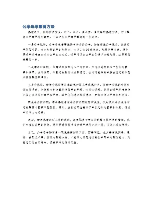 公羊母羊繁育方法