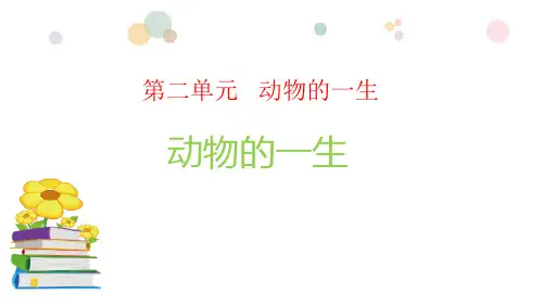 最新教科版三年级下册科学《动物的一生》精品教学课件
