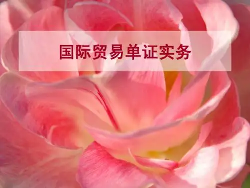 单证课件 第一章