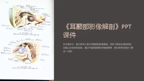 《耳颞部影像解剖》课件