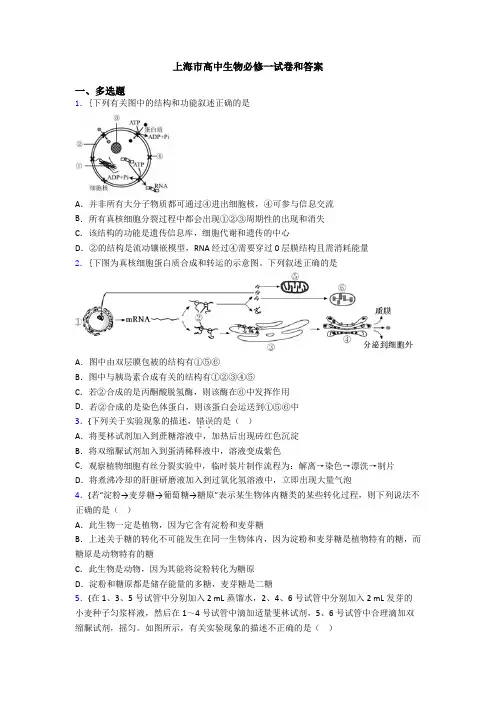 上海市高中生物必修一试卷和答案