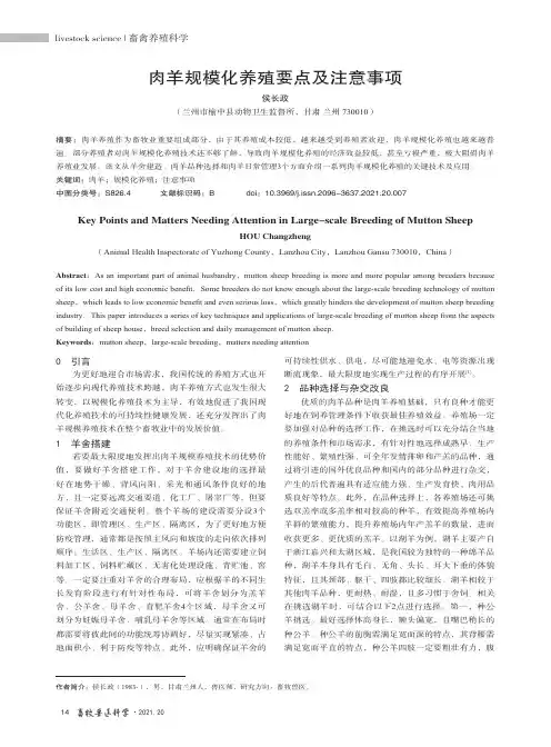 肉羊规模化养殖要点及注意事项