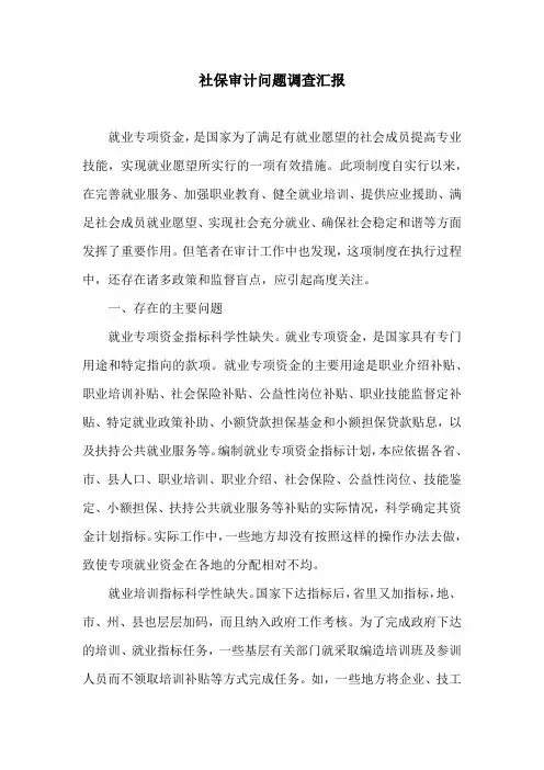 社保审计问题调查汇报