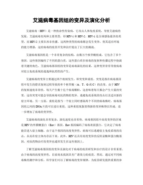 艾滋病毒基因组的变异及演化分析