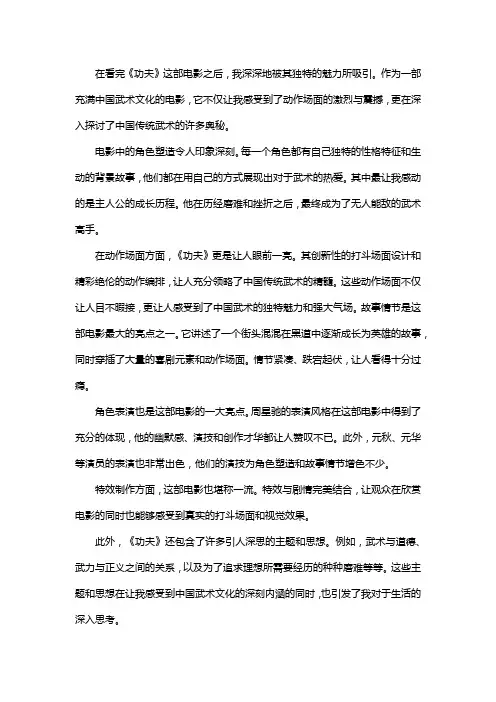 功夫观后感800字