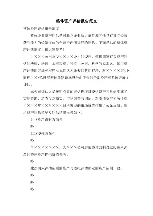 整体资产评估报告范文