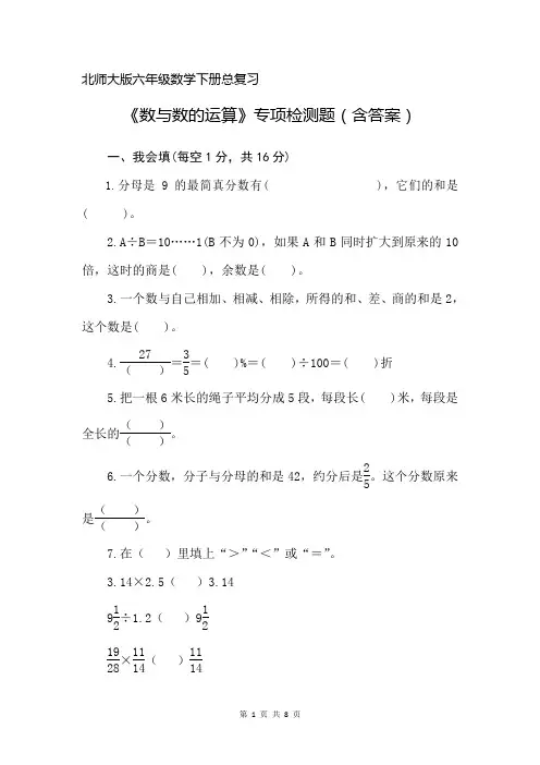 北师大版六年级数学下册总复习《数与数的运算》专项检测题(含答案)
