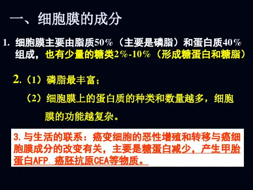 细胞的基本结构wang