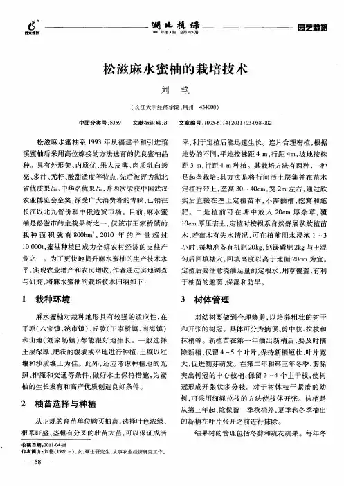 松滋麻水蜜柚的栽培技术
