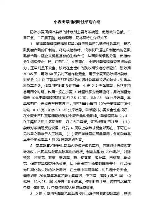 小麦田常用阔叶除草剂介绍