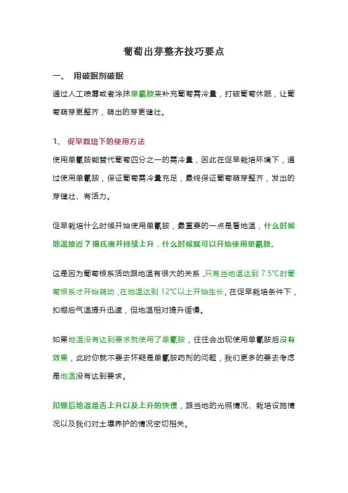 葡萄出芽整齐技巧要点