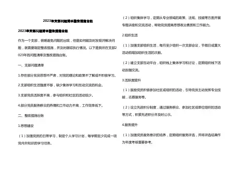 2023年支部问题清单整改措施台账