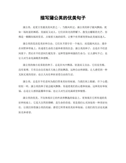描写蒲公英的优美句子