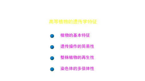 高等植物的遗传学特征