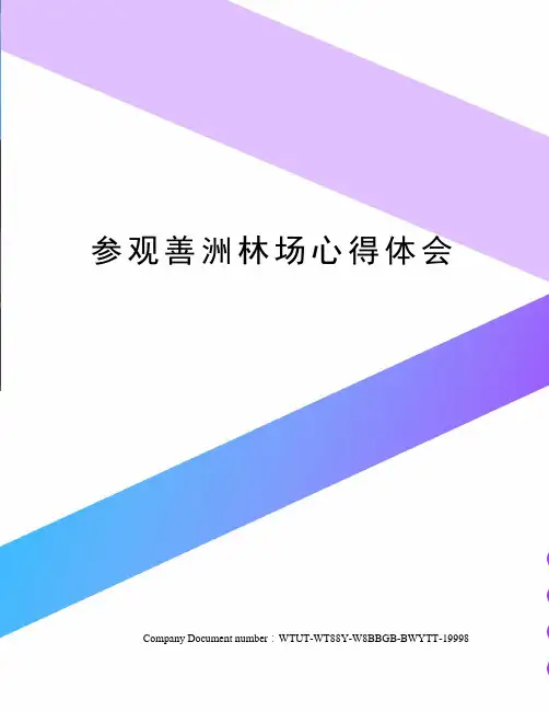 参观善洲林场心得体会