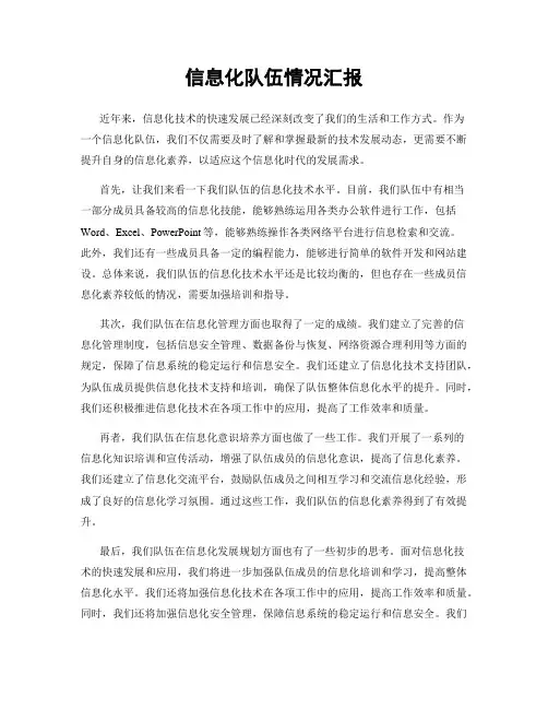 信息化队伍情况汇报