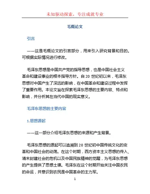 毛概论文文档