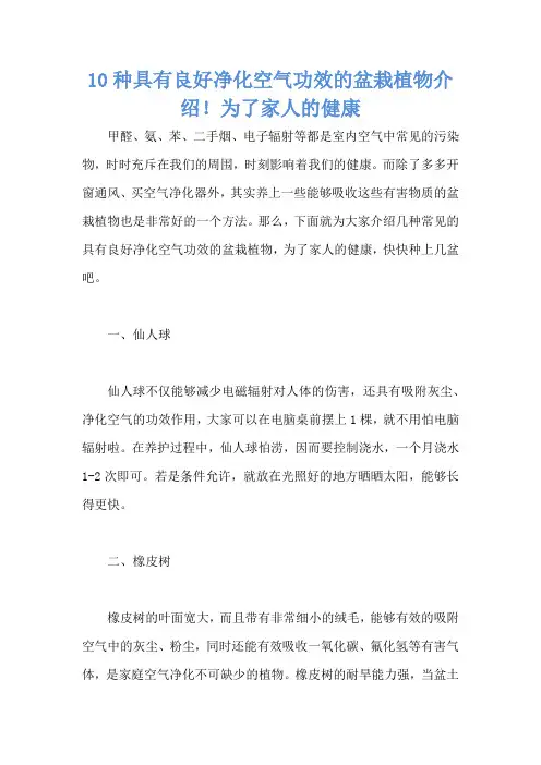 10种具有良好净化空气功效的盆栽植物介绍!为了家人的健康