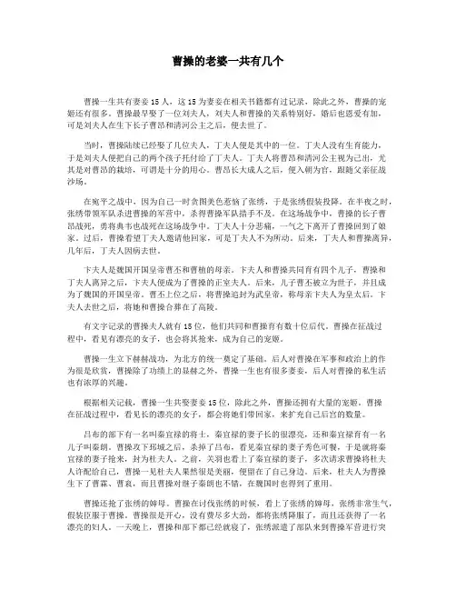 曹操的老婆一共有几个