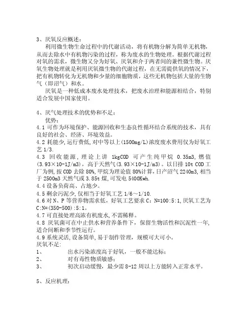 厌氧生物处理