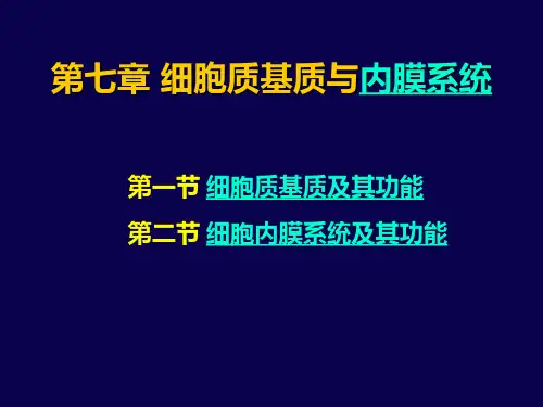 第七章 细胞质基质与内膜系统 南开大学细胞生物学课件