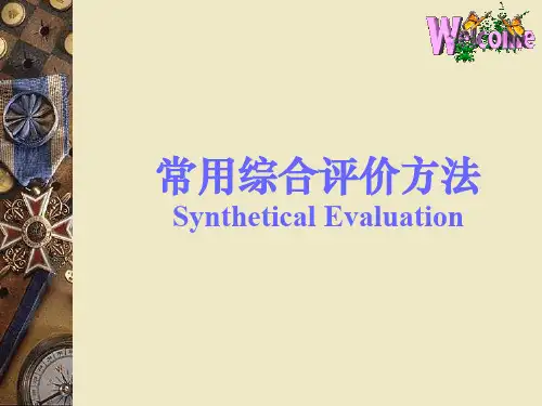 常用综合评价方法7