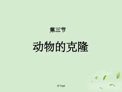 高中生物23动物的克隆课件新人教版选修