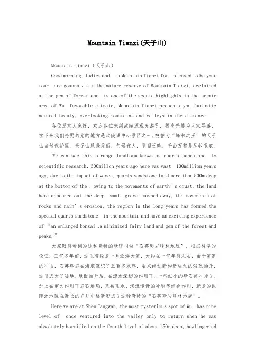 Mountain Tianzi(天子山)