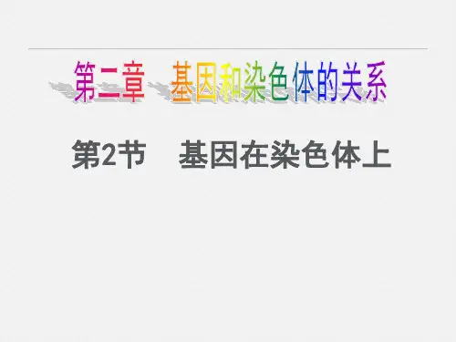 人教版高中生物必修二：2.2《基因在染色体上》课件(共31张PPT)
