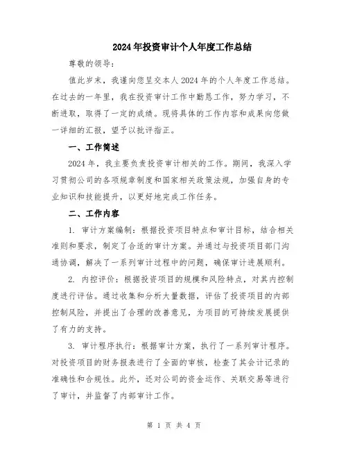 2024年投资审计个人年度工作总结