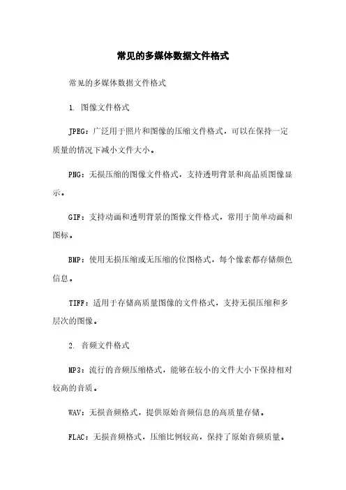 常见的多媒体数据文件格式