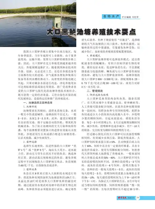 大口黑鲈池塘养殖技术要点