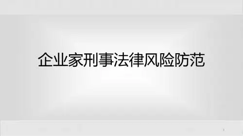 企业家刑事法律风险防范ppt课件