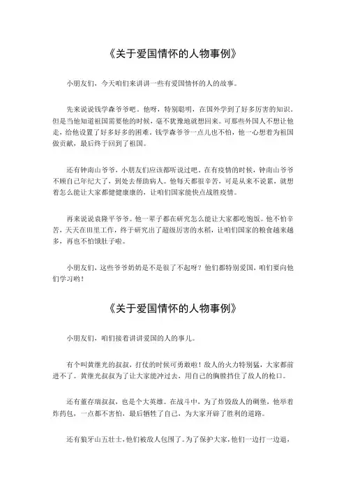 关于爱国情怀的人物事例