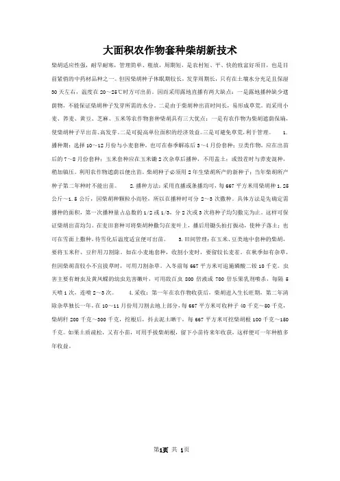 大面积农作物套种柴胡新技术