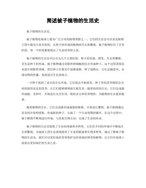 简述被子植物的生活史