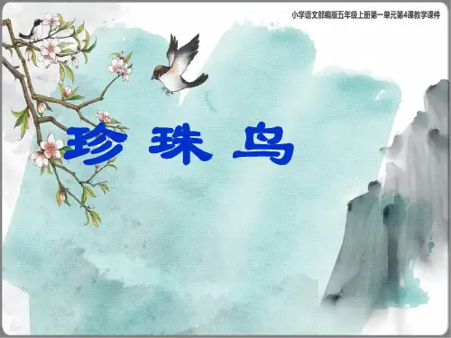 《珍珠鸟》课件(共44张PPT)