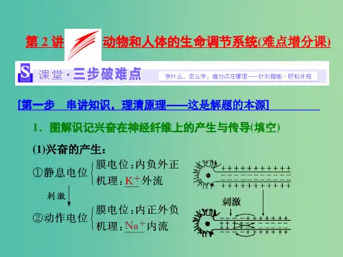 高考生物二轮复习 第一部分 专题三 稳态系统 第2讲 动物和人体的生命调节系统(难点增分课)