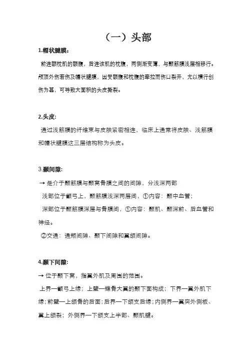 头颈部局部解剖-名词解释
