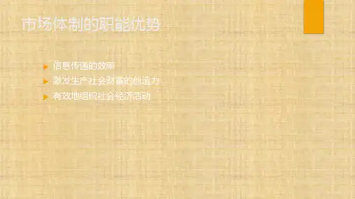 第二章 公共事业管理的主体 《公共事业管理学》PPT课件